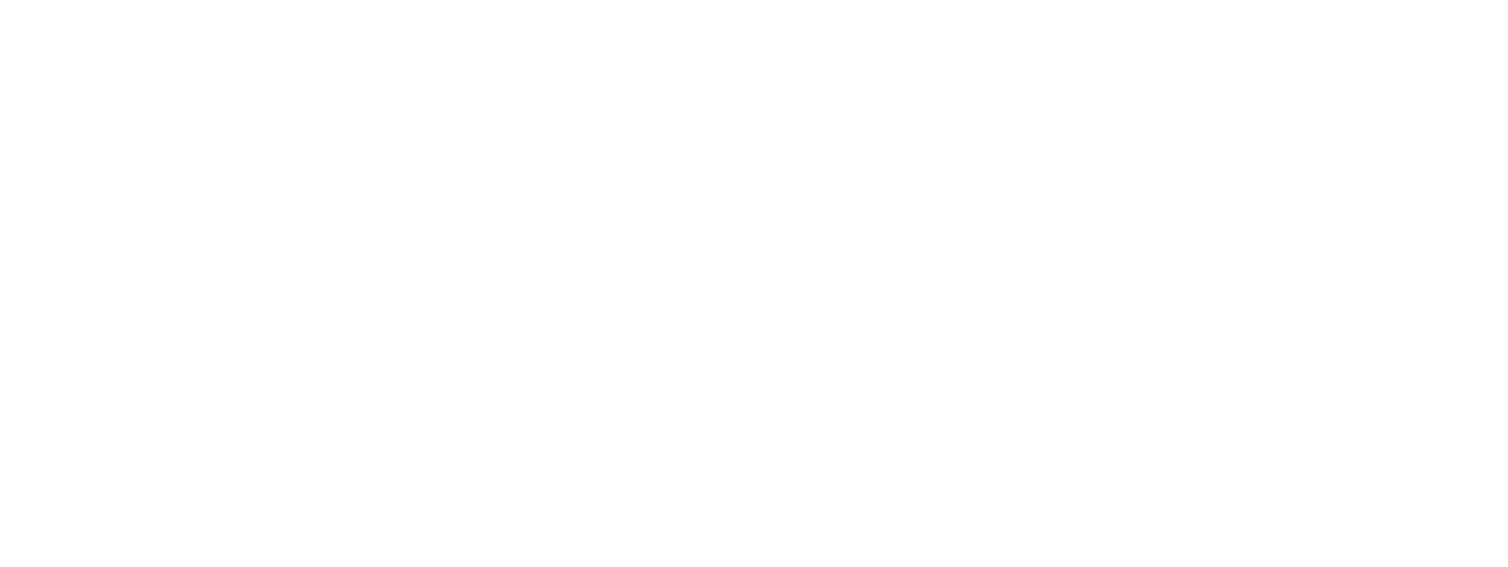 Flexori Logo